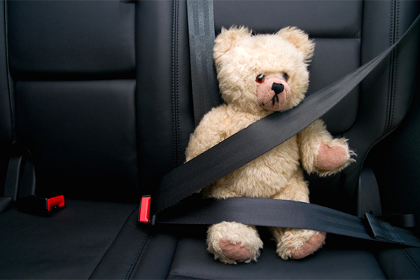 Seatbelt Ticket